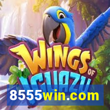 8555win.com