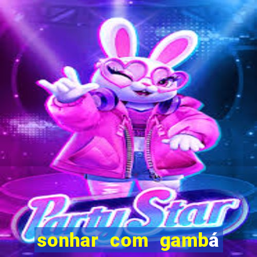 sonhar com gambá jogo do bicho