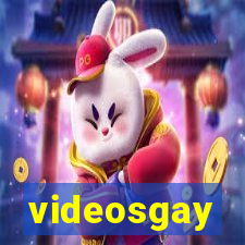 videosgay