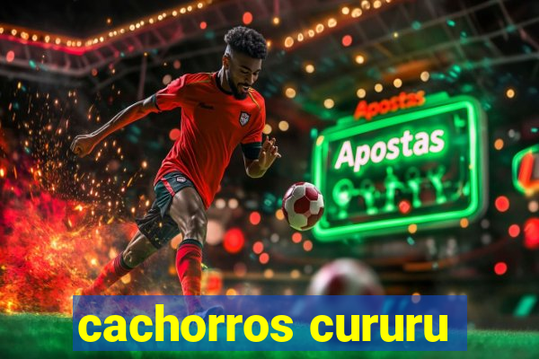 cachorros cururu