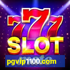 pgvip1100.com